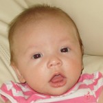 lilleeweb2