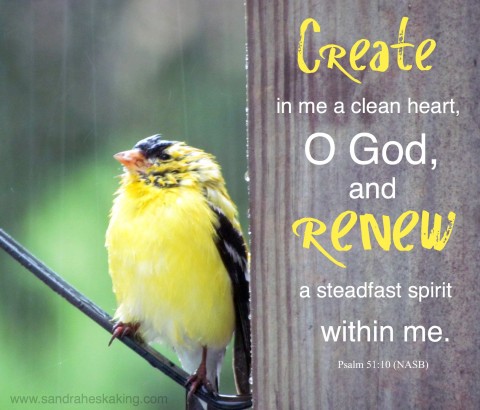 goldfinch, create, renew, heart, God