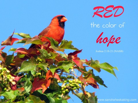 red color of hope