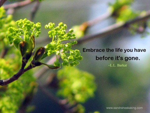 embrace life