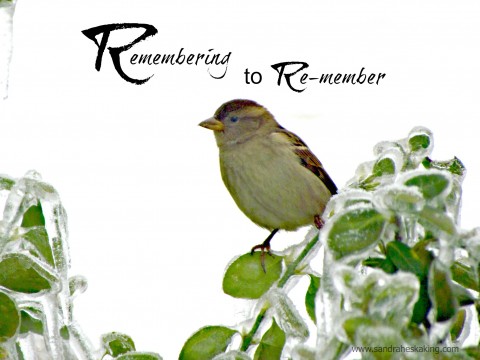 remembering to re-member