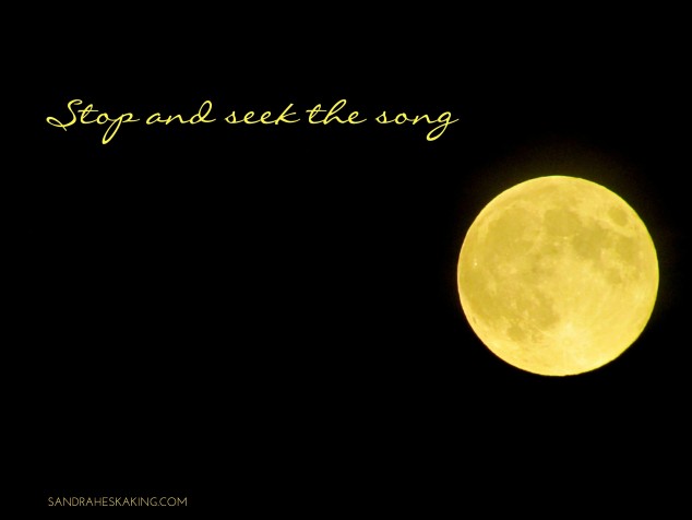 moon rising - SEEK THE SONG