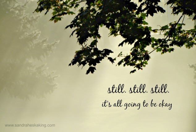 still-still-still