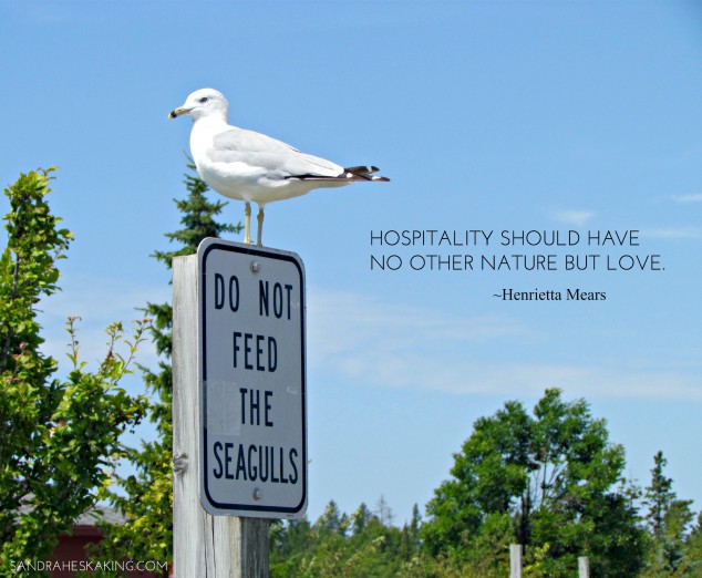SEAGULL - DO NOT FEED